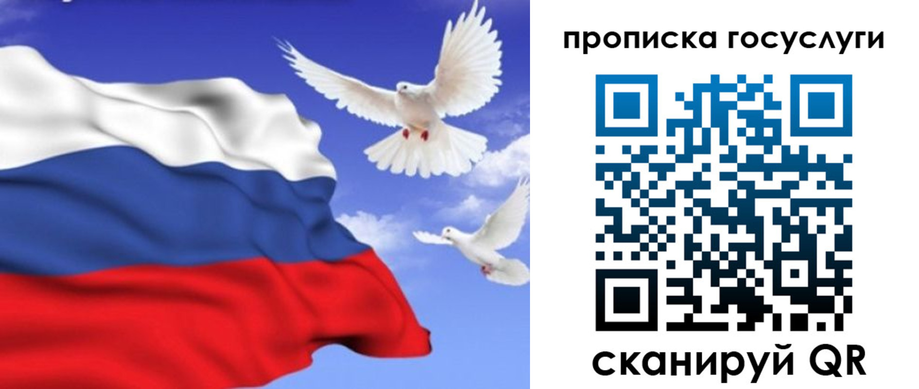 прописка паспорт в Костроме